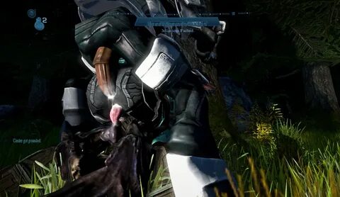 Halo reach female spartan booty Hentai - naruto prn