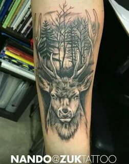Pin by Okchicass on ideas tatuajes Elk tattoo, Stag tattoo d