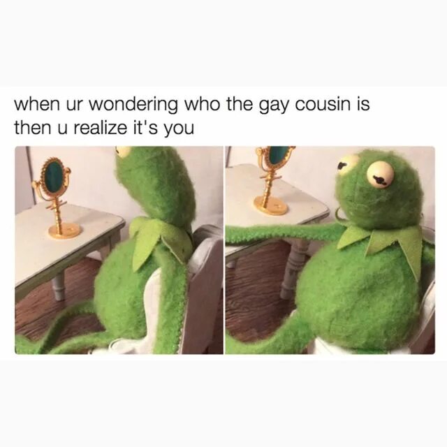 May be a meme of text that says 'when ur wondering who the gay cousin ...