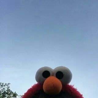 Pin by jay noel 🦋 on sky Funny profile pictures, Elmo and fr