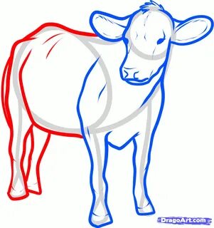 Pin on Cow drawing