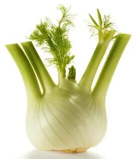 Fennel It Is: All About Fennels And Fennel Seed Substitute