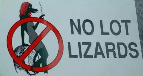 No lot lizards Lizard, Lot, Trucking life