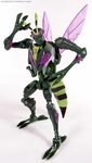 Transformers Animated Waspinator (Wasp) Toy Gallery (Image #
