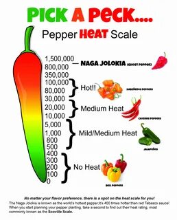 Ghost Pepper Scoville - diseasedappynessclub