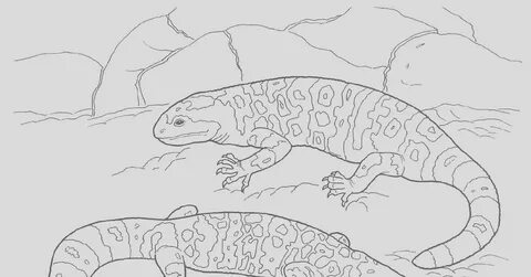 42 Beautiful Image Of Gila Monster Coloring Page - Coloring 