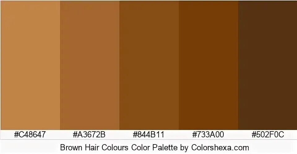 Brown Hair Colours Color Palette #C48647 #A3672B #844B11 #73