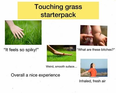 Touching grass starterpack /r/starterpacks Starter Packs.