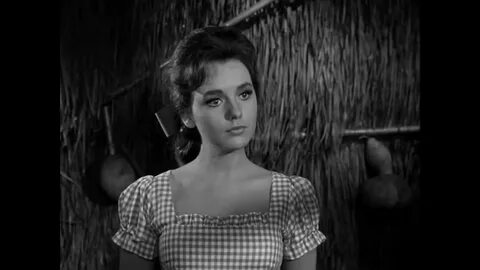 Minh tinh Dawn Wells qua đời vì Covid-19 - VnExpress Giải tr