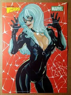 Black Cat Spider-Man Marvel Comics Poster by Terry Dodson