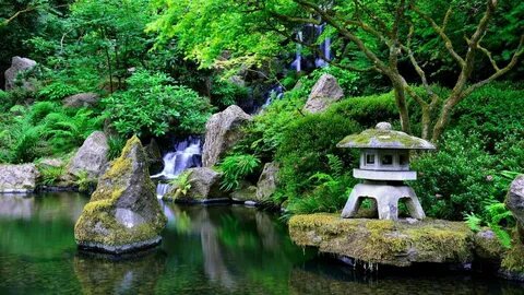 Японский сад дименшенс (66 фото) .