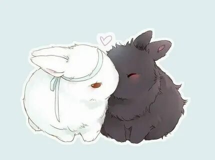 Pin by Drarig Barbara on Bunny Love ♡ Cute animal drawings k