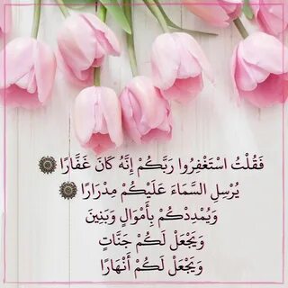 فَقُلْتُ اسْتَغْفِرُوا رَبَّكُمْ إِنَّهُ كَانَ غَفَّارًا (10) يُرْسِلِ السَّمَاء