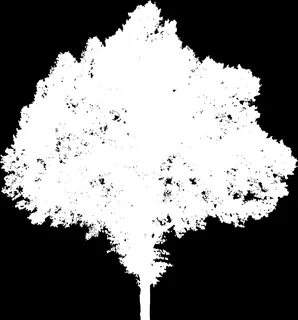 Free Tree Cutouts with Opacity Maps (Summer and Autumn) - x3