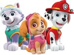 Download Marshall Skye Everest Paw Patrol Clipart Png Clip A