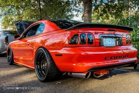 Pin by Travis Mercer on Fast Muscle Cars Sn95 mustang, Musta