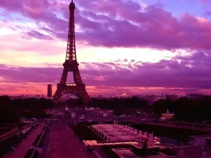 Paris Pink Wallpaper posted by Christopher Walker