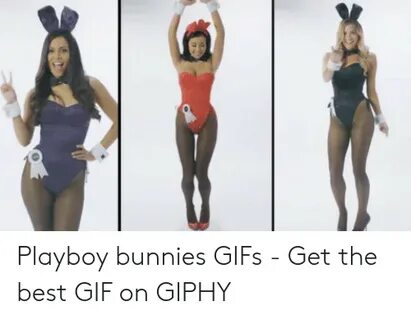 Playboy Bunnies GIFs - Get the Best GIF on GIPHY Bunnies Mem