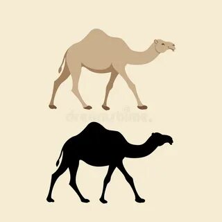 Camel Vector Stock Illustrations - 17,618 Camel Vector Stock