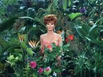 55+ Tina Louise Hot Pictures Will Drive You Nuts For Her - X