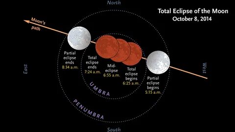 Total Lunar Eclipse Before Dawn October 8th - Sky & Telescop