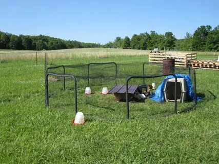 Recycle, Reuse: Trampoline Frames Backyard trampoline, Recyc