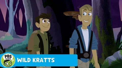 WILD KRATTS Campfire! PBS KIDS - YouTube