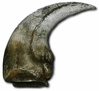 Buy Prehistoric Planet Store - Megaraptor Claw in Cheap Pric