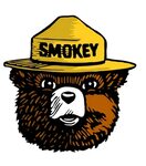 Smokey The Bear Coloring Pages - Best Images Hight Quality