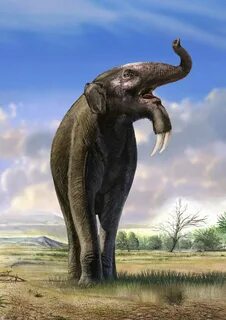 Deinotherium Prehistoric wildlife, Prehistoric creatures, An