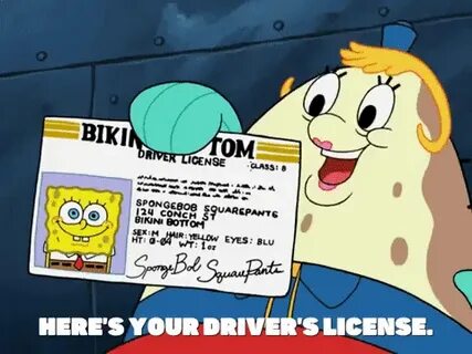 spongebob: Spongebob Driving License