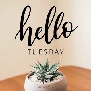 Hello Tuesday! Hello tuesday, Tuesday quotes, Insperational 
