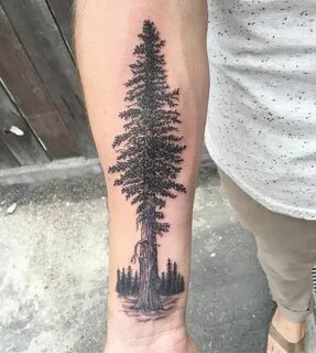 Tree Tattoos Designs - Bonsai, Redwood, Pine, Weeping Willow