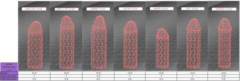 condom size and facts: 2012