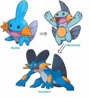 Mudkip Evolution Mudkip, Pokemon teams, Pokemon