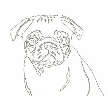 Embroidered Line Drawings Dog face drawing, Line drawing, Pu