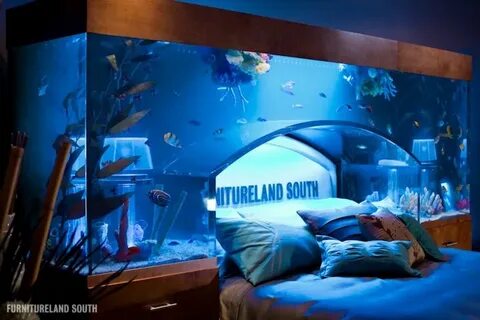 Awesome Aquarium Bed Lets You Sleep with the Fishes