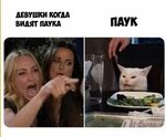 Мем "женщина кричит на кота" и его варианты - ЯПлакалъ