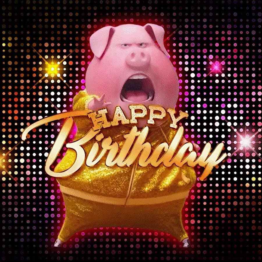 Funny Dancing Pig Happy Birthday Animated GIF - Download on 