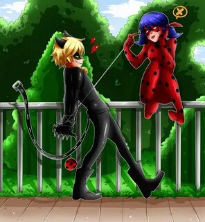 Wallpaper Cat Noir And Ladybug - Miraculous: Tales Of Ladybu