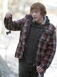 Ron Weasley' pictures - Harry Potter Fan Zone