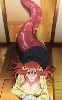 Stitch: Miia Shedding Monster Musume / Daily Life with Monst