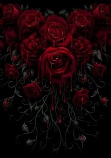 Rosas Rojas mis Favoritas ❤ Red rose drawing, Red roses wall