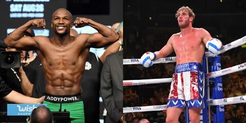 Floyd Mayweather Logan Paul Fight Date Announced - enersysde