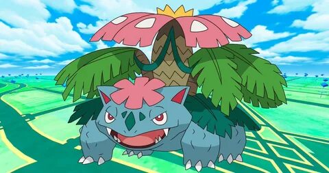 Venusaur Mega Evolution Related Keywords & Suggestions - Ven