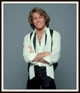 Andy Gibb Andy gibb, Andy, Music photo