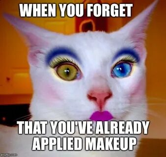 makeup cat Memes & GIFs - Imgflip