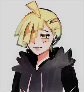 Gladion Pokemon