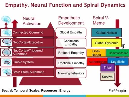 "Empathy, Neural (Brain) Function & Spiral Dynamics" Subcons