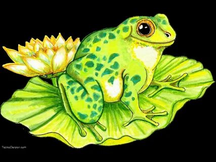How To Draw A Lily Pad With A Frog On It